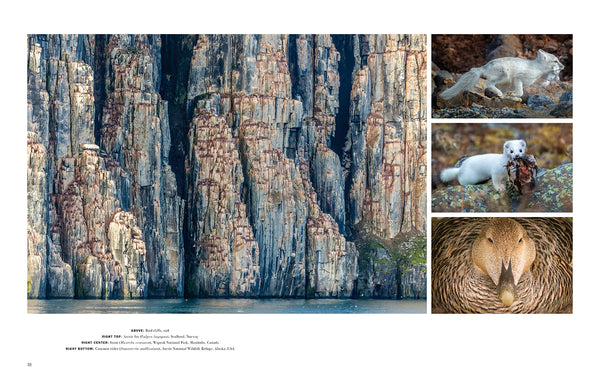 Wild Lives – Insight Editions