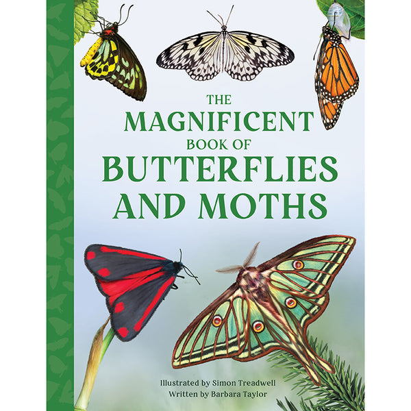 The Magnificent Book of Butterflies & Moths – Insight Editions