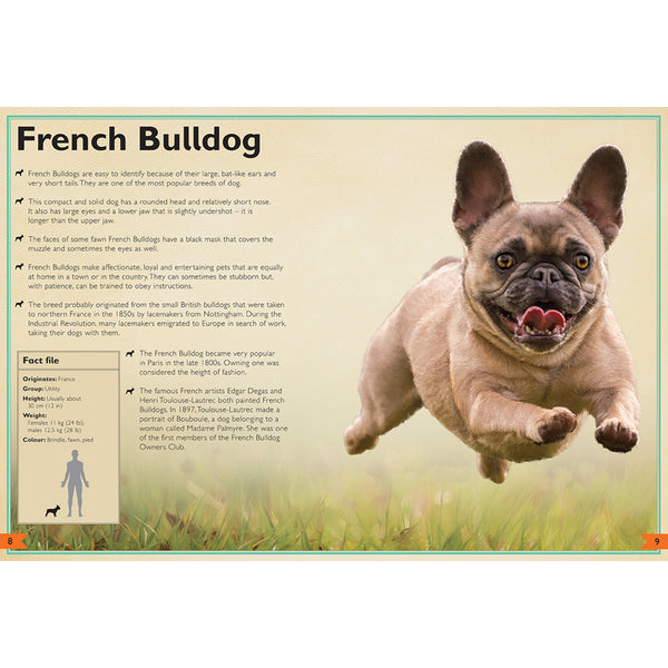 Karol Bagh Pet Vet Near Me Open Romantic Sad Movies On Amazon