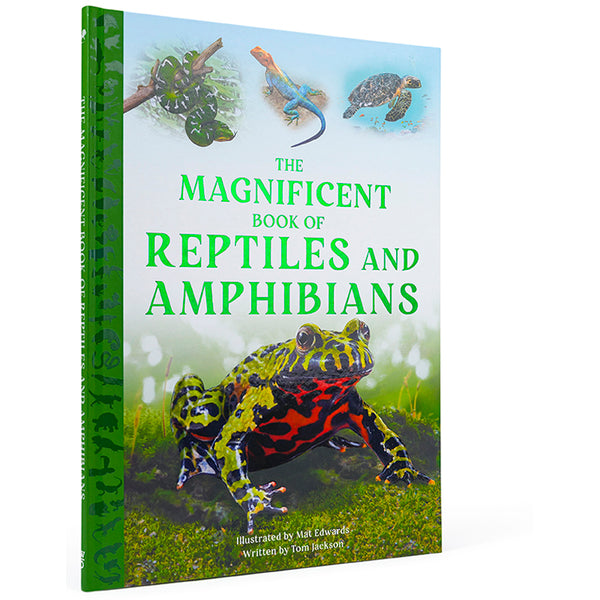 The Magnificent Book of Reptiles and Amphibians – Insight Editions