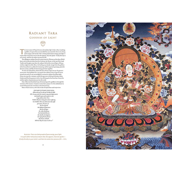 The Celestial Galleries – Insight Editions