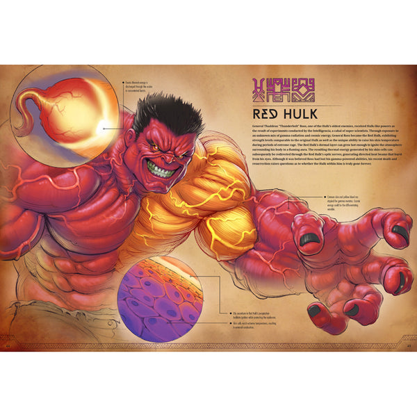 Marvel Anatomy: A Scientific Study of the Superhuman – Insight