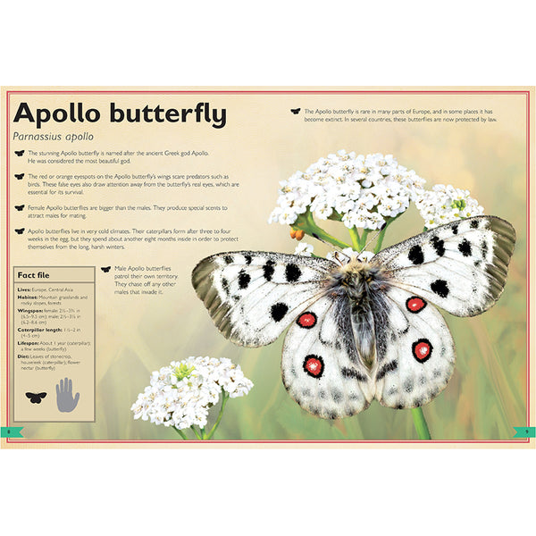 92458-144379-interior-