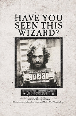 Illustrative Harry Potter Wanted Poster - Venngage