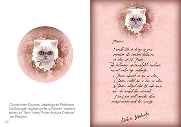 The Art of Harry Potter: Mini Book of Graphic Design – Insight