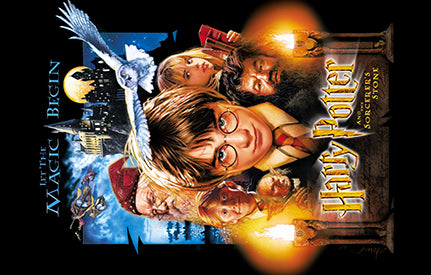 Harry Potter Poster Collector's Edition 2001-2011 Posters de