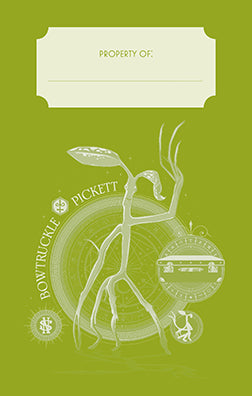 Fantastic Beasts: The Crimes of Grindelwald: Pickett Ruled Pocket
