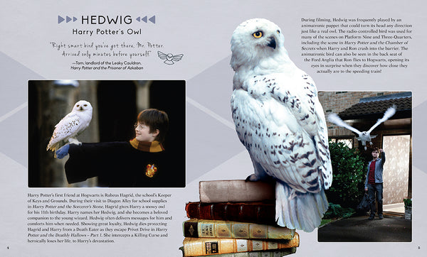 IncrediBuilds: Harry Potter: Hedwig 3D Wood Model and Book