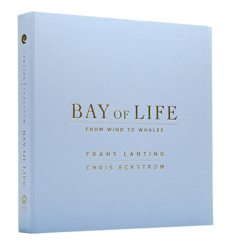 Bay of Life