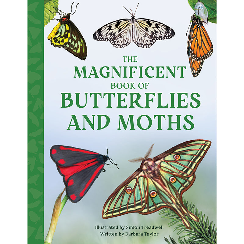 The Magnificent Book of Butterflies & Moths – Insight Editions