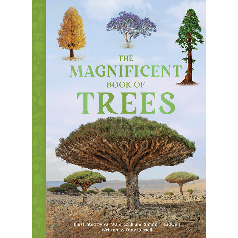 【希少】六本木夢物語　dreams of six trees The Magnificent Book of Trees – Insight Editions