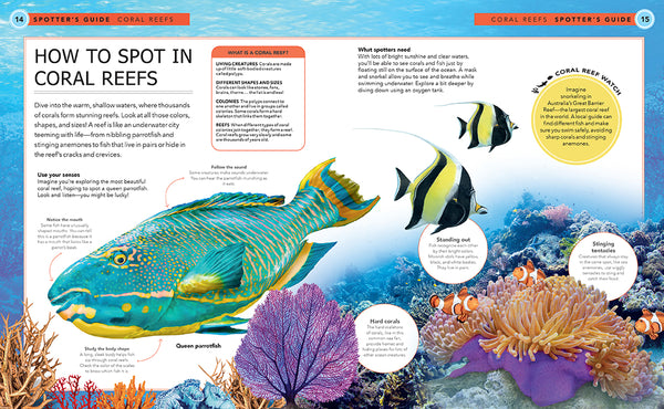 Ocean Creatures – Insight Editions