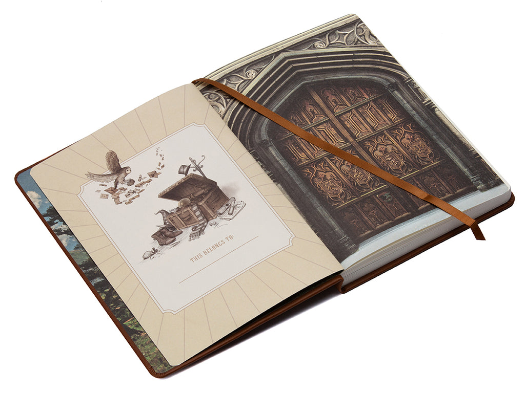 Harry Potter: Hogwarts Legacy Journal (Hardcover)