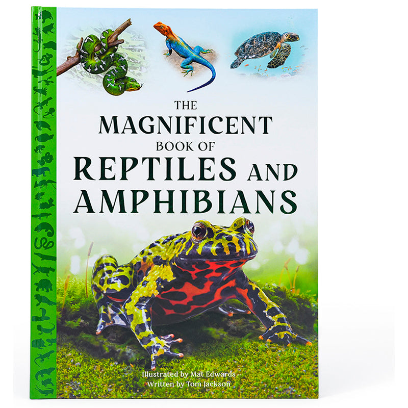 The Magnificent Book of Reptiles and Amphibians – Insight Editions