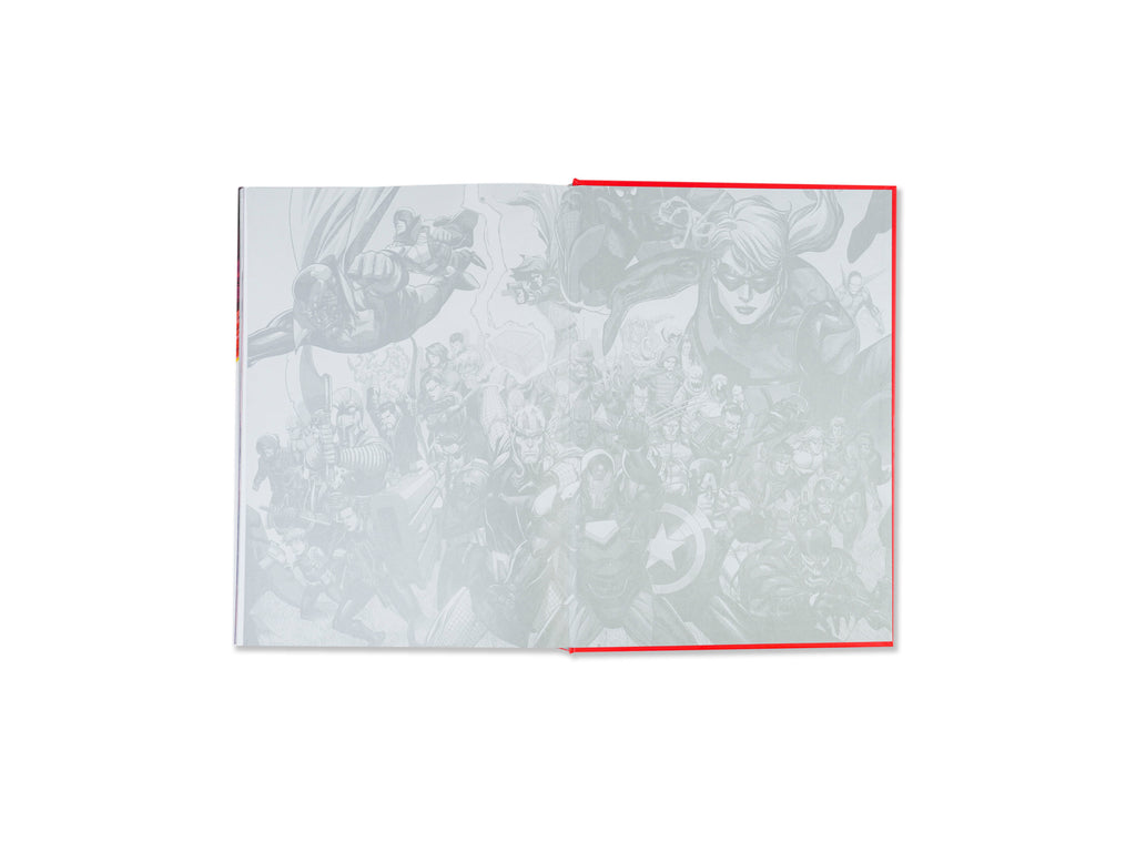 Marvel: The Art of Stormbreakers