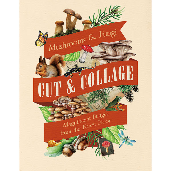 Cut and Collage Mushrooms and Fungi – Insight Editions