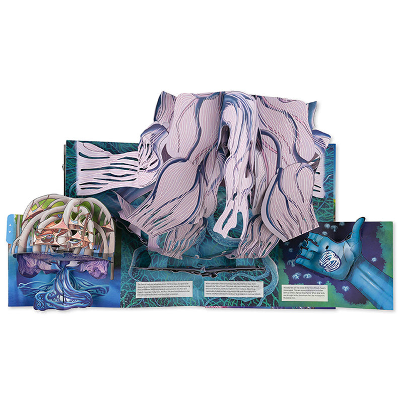 Avatar: The Ultimate Pop-Up Book