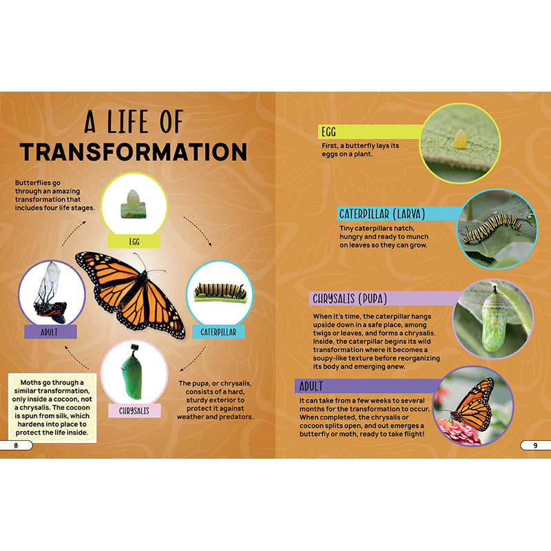 Smithsonian Explores: Bugs and Insects