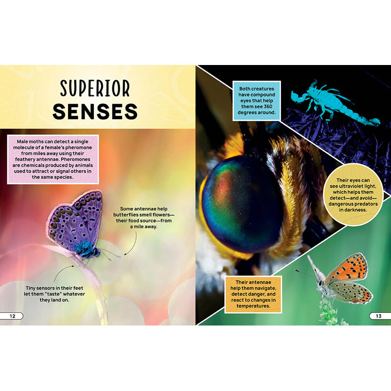 Smithsonian Explores: Bugs and Insects