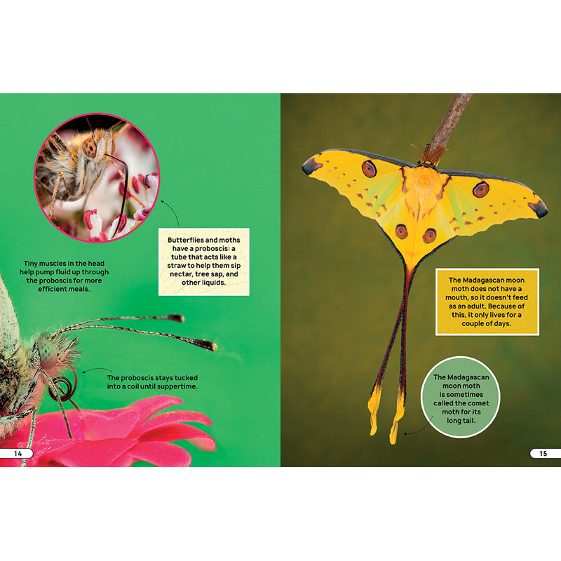 Smithsonian Explores: Bugs and Insects