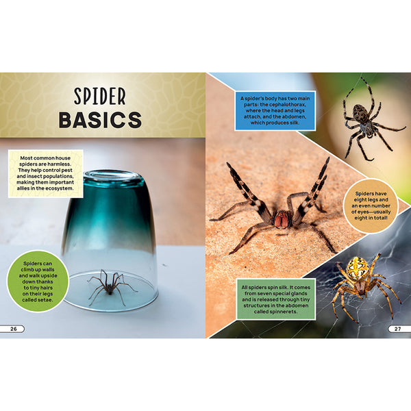 Smithsonian Explores: Bugs and Insects – Insight Editions