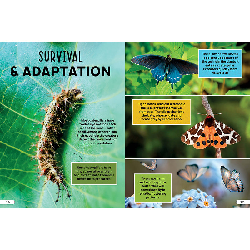 Smithsonian Explores: Bugs and Insects