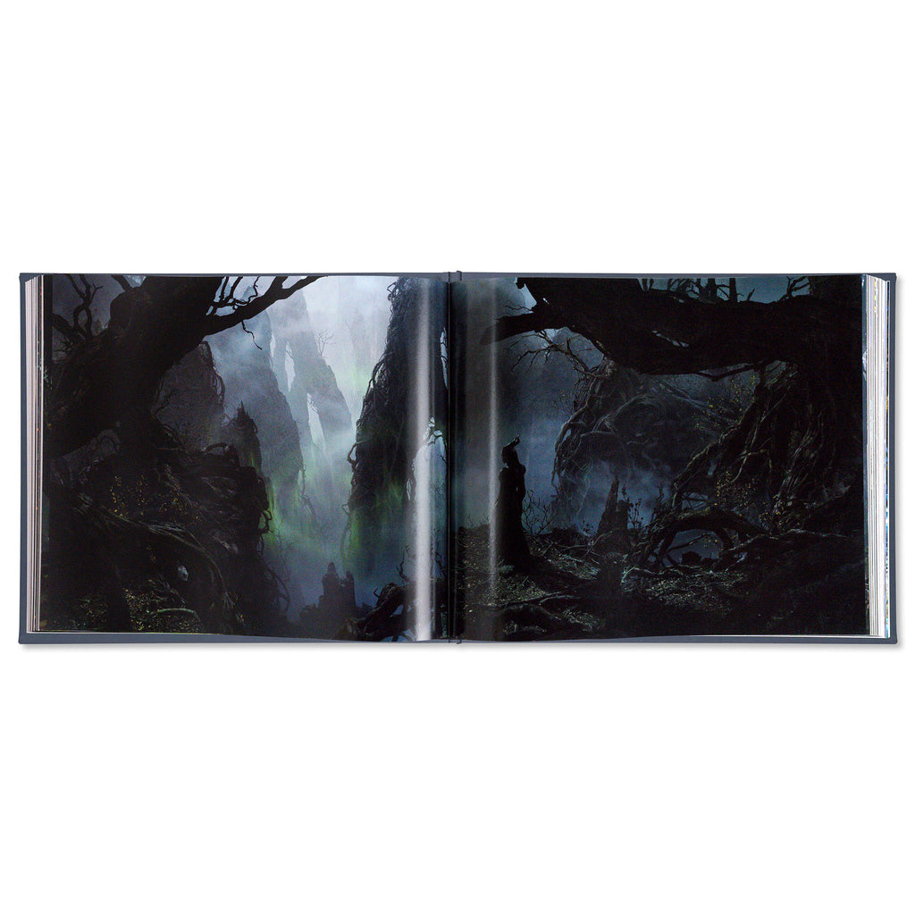 Creating Worlds: The Disney and 20th Century Studios Cinematic Art of Dylan Cole