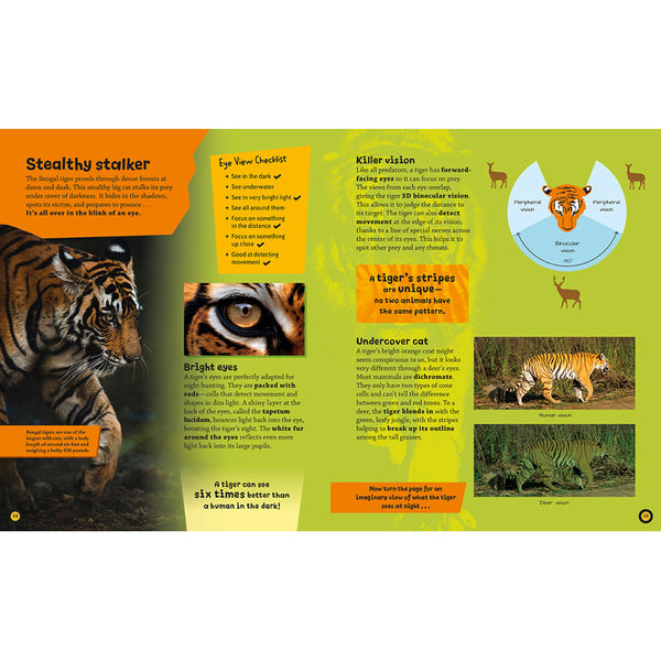 Eye View: Jungle Animals – Insight Editions