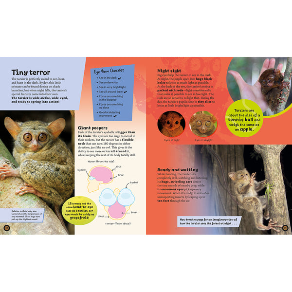 Eye View: Jungle Animals – Insight Editions