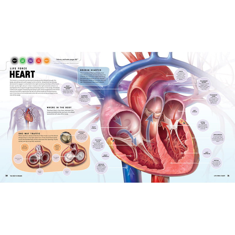 Discover: The Human Body [Ready Activated]