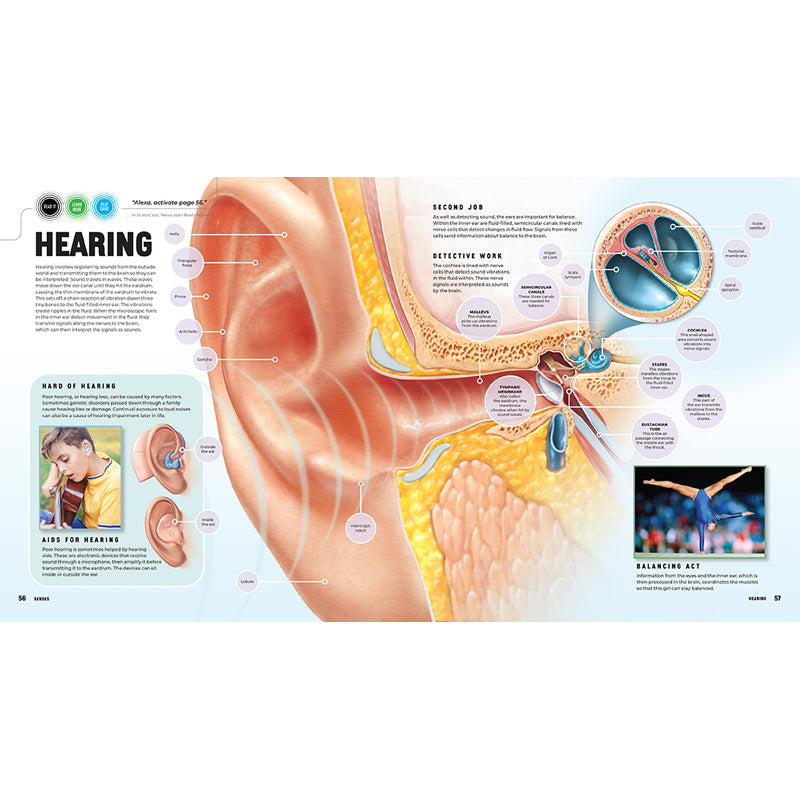 Discover: The Human Body [Ready Activated]