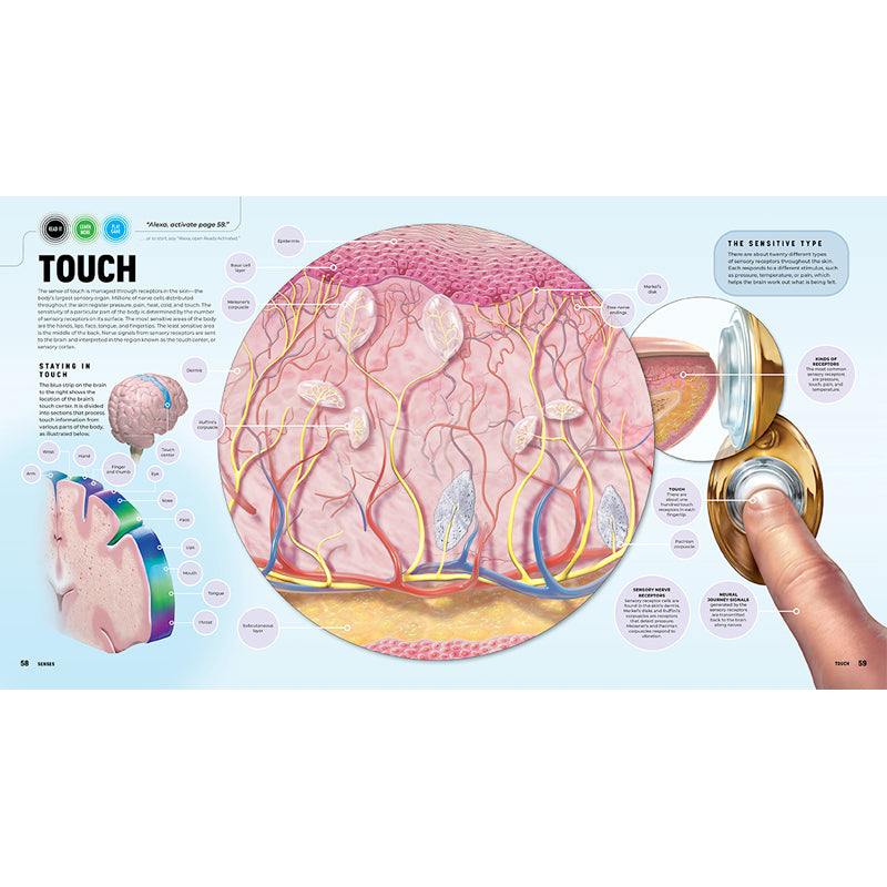 Discover: The Human Body [Ready Activated]