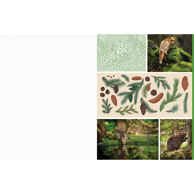 Cut and Collage Woodland Creatures