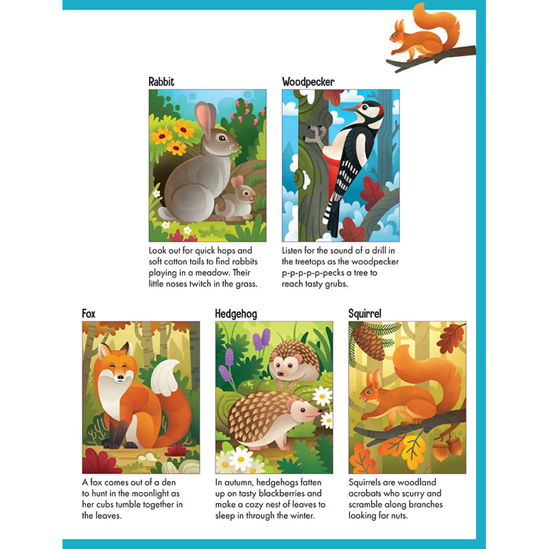 Sticker by Number: Woodland Animals