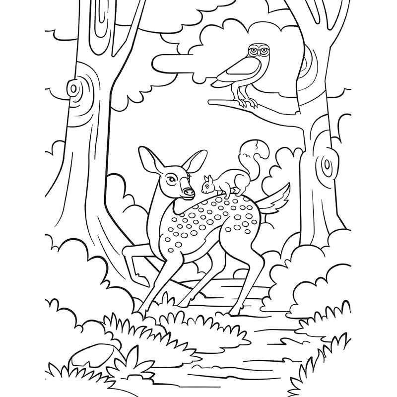 Sticker by Number: Woodland Animals