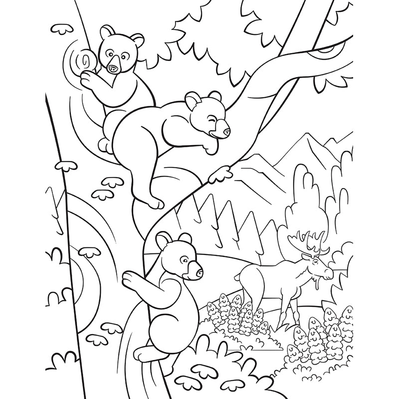 Sticker by Number: Woodland Animals