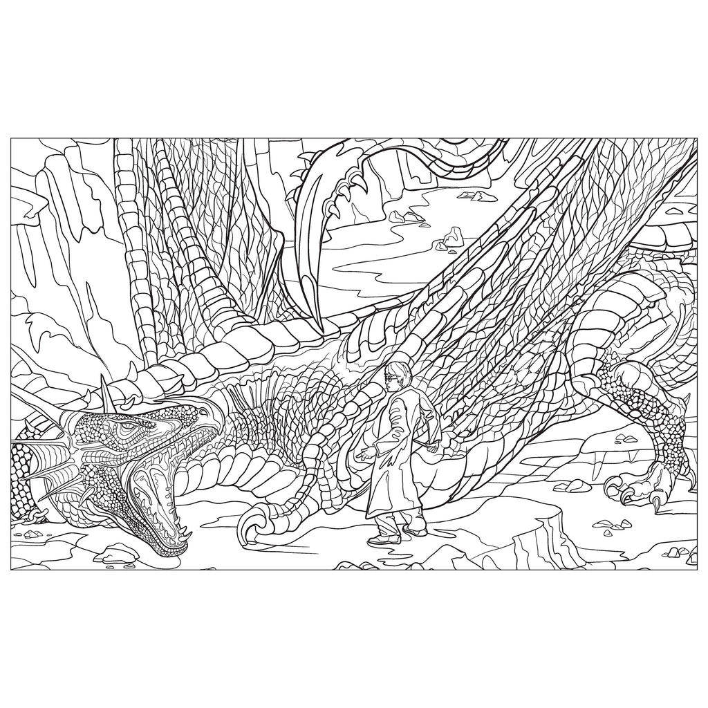 Harry Potter: Magical Creatures Coloring Book