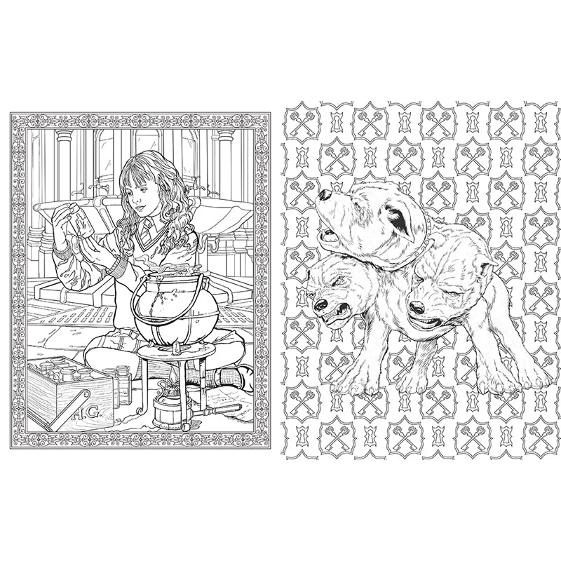 Harry Potter Coloring Book