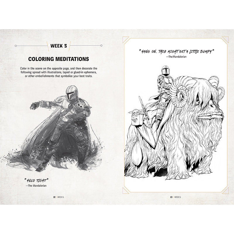 Star Wars: The Mandalorian Guided Journal