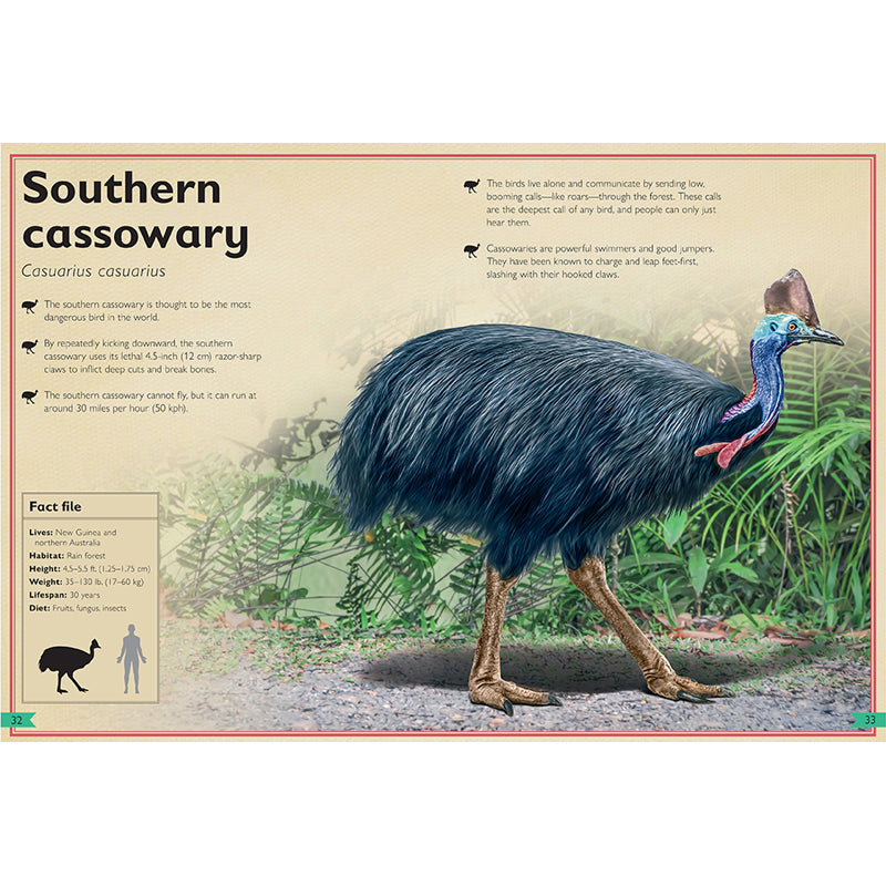 The Magnificent Book of Dangerous Animals