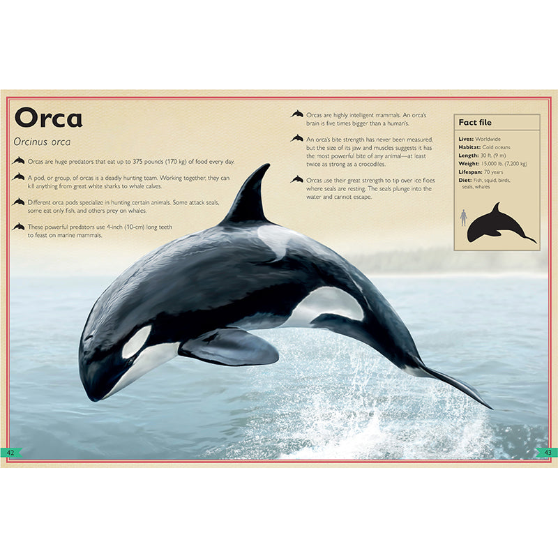 The Magnificent Book of Dangerous Animals