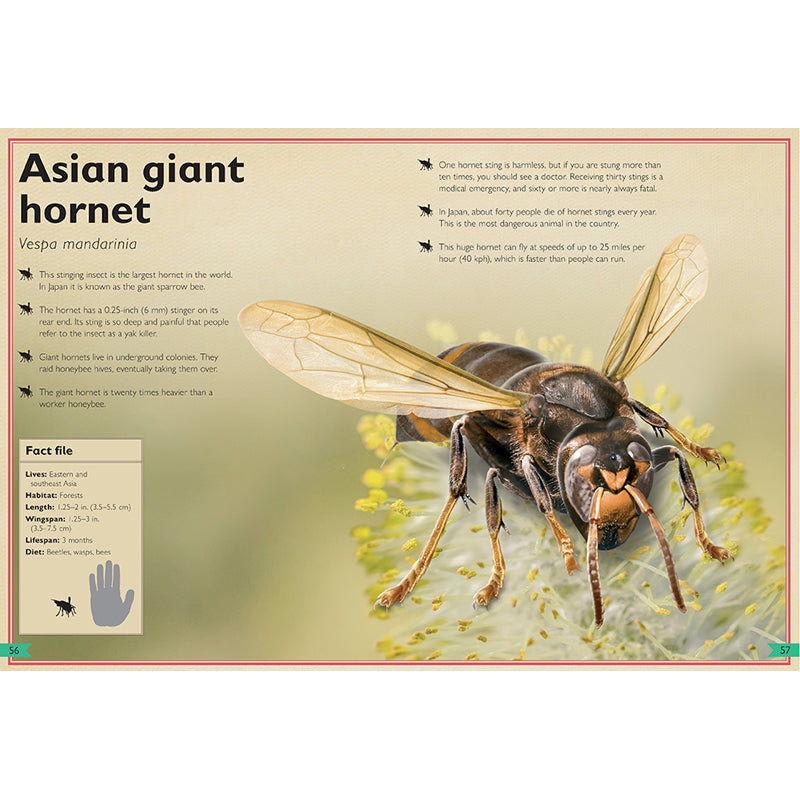 The Magnificent Book of Dangerous Animals