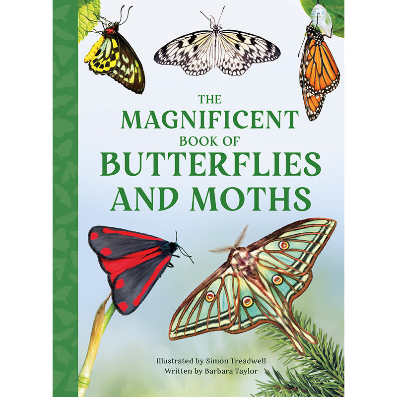 The Magnificent Book of Butterflies & Moths – Insight Editions