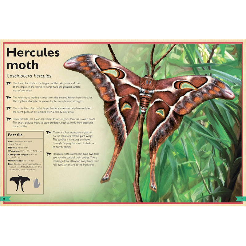 The Magnificent Book of Butterflies & Moths