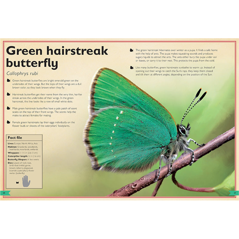 The Magnificent Book of Butterflies & Moths