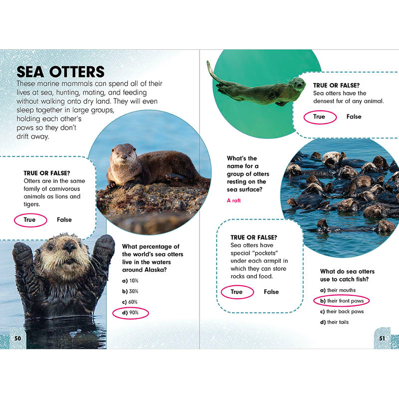 Sneaky Facts: Animal Kingdom