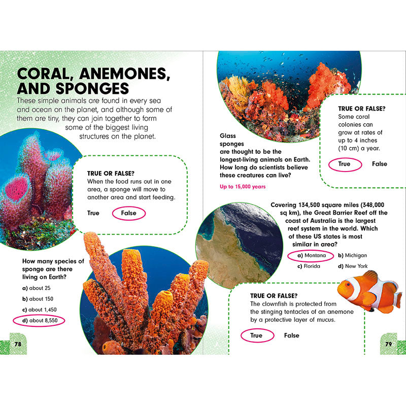 Sneaky Facts: Animal Kingdom