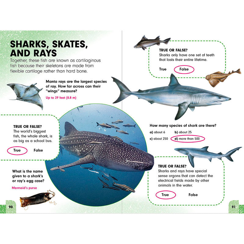 Sneaky Facts: Animal Kingdom