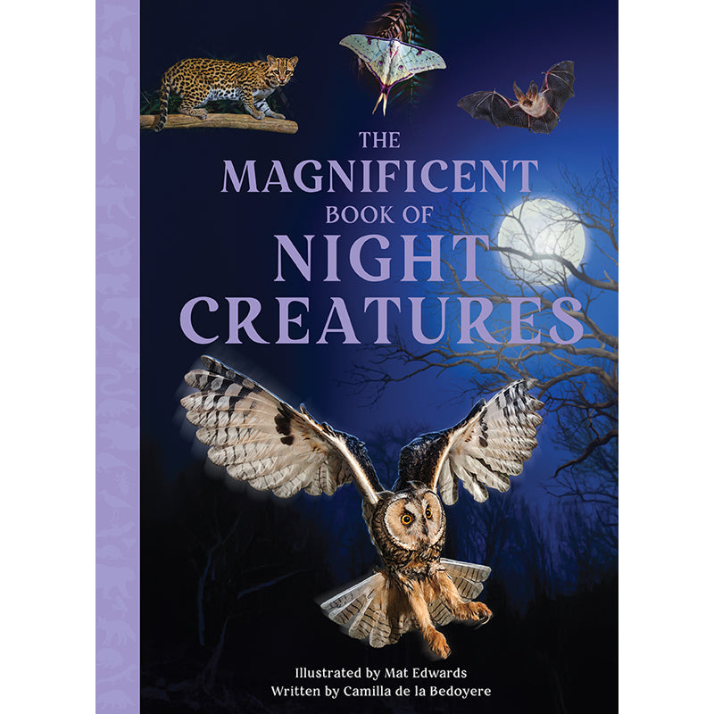 The Magnificent Book of Night Creatures