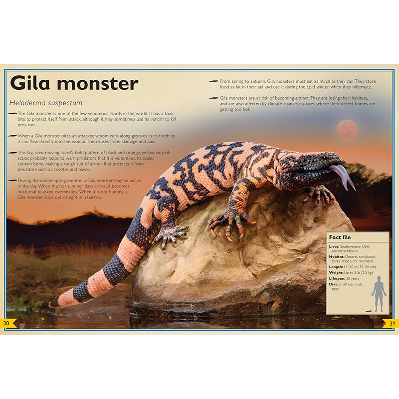 monsters in the night book The Magnificent Book of Night Creatures